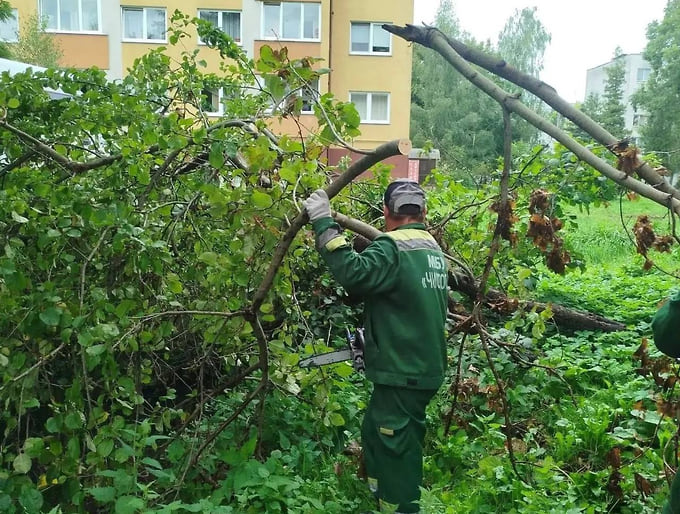 Утром в Калининграде ввели режим повышенной готовности из-за сильного ветра