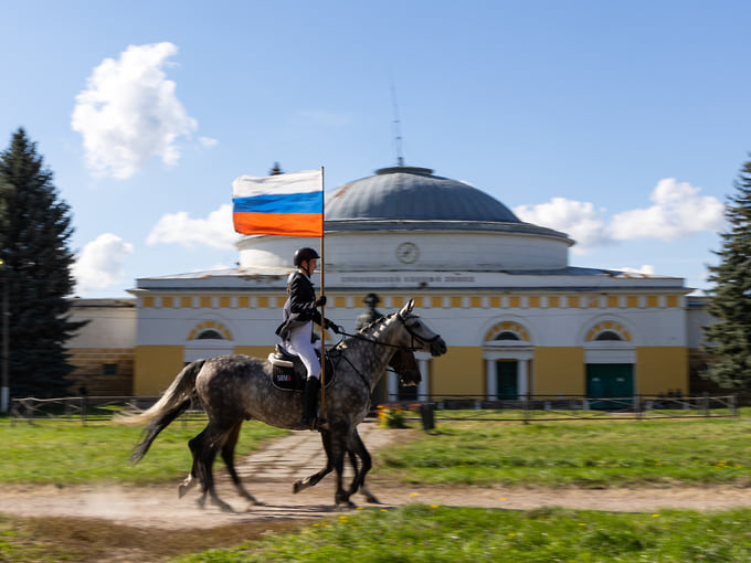Орловские рысаки выступают под седлом в выездке и конкуре, используются для любительской верховой езды. На фото: всадник с российским флагом на праздновании 250-летия Хреновского конного завода, 1 октября 2026 года 