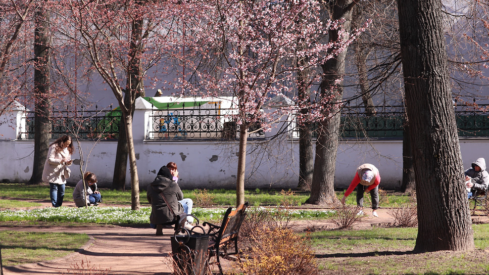 В саду музея можно отдохнуть на скамейках, вход в сад бесплатный 