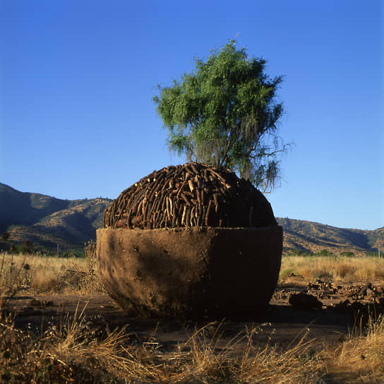Проект Casa Carbonero, Мелипилья, Чили, 1998