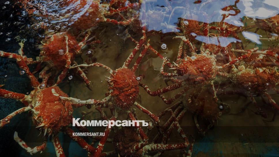 Краб разбор. Крабы. Краб. Крабы дальнего Востока. Crabs distribution.