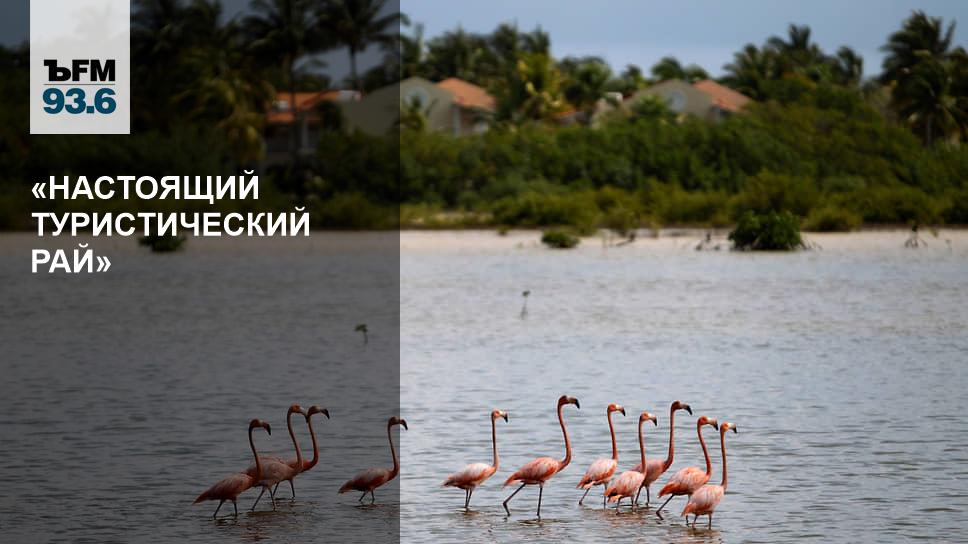 Тур paradise. Памятник Хемингуэй на Кайо Коко. Эрнест Хемингуэй мост в Кайо Коко. Рай тур. Настоящий тур.