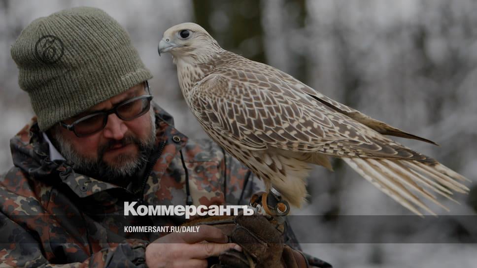 1. Домашняя кошка