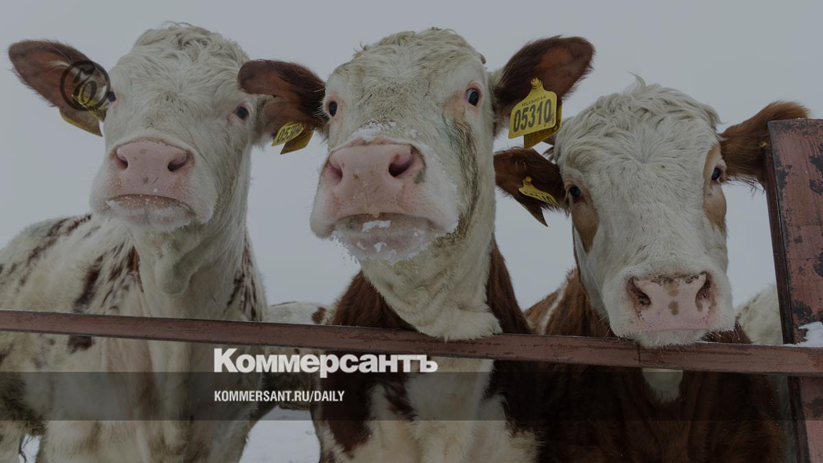 www.kommersant.ru