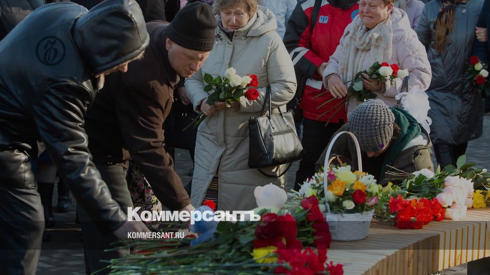 Сэм лабарти зимняя вишня фото