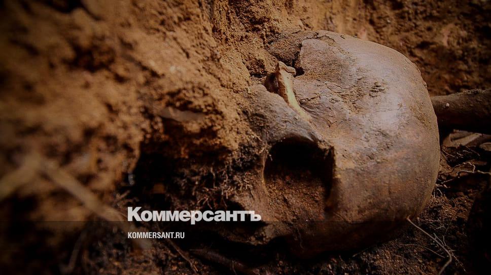 Могильные сосны Андреевка