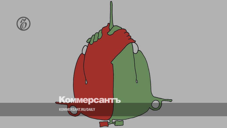 "Superjet" is asked to make room - Newspaper Kommersant No. 222 (7423) dated 11/30/2022