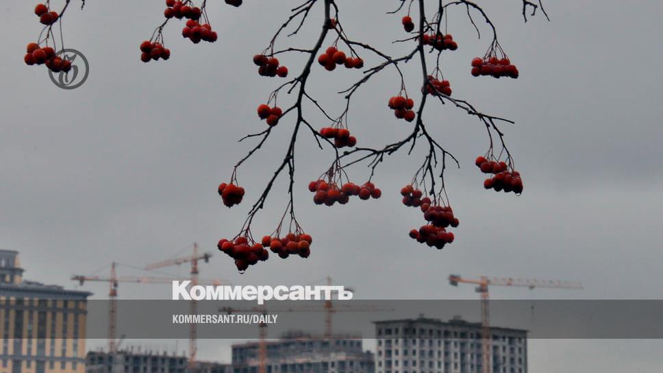 The economy "bounced off the bottom" - Newspaper Kommersant No. 233 (7434) of 12/15/2022