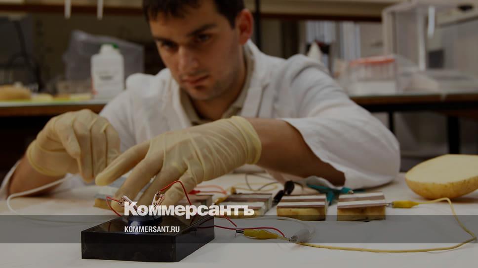 Biomass is used for the benefit of society - Hi-Tech - Kommersant