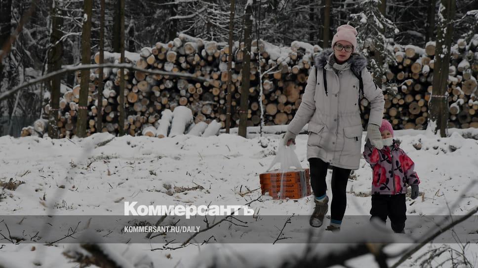 Who is in the Elk, who is for firewood - Newspaper Kommersant No. 4 (7449) of 01/12/2023