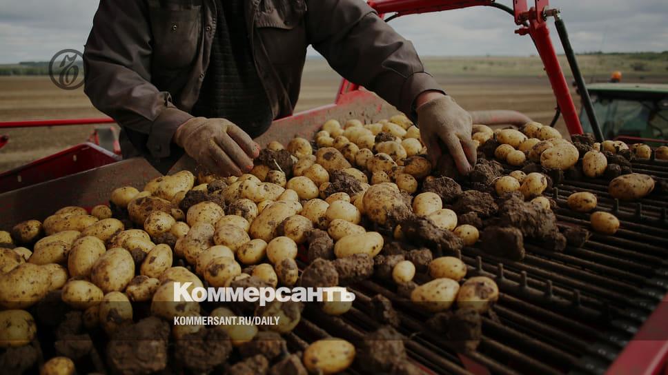 The ex-senator went for potatoes - Newspaper Kommersant No. 18 (7463) dated 02/01/2023