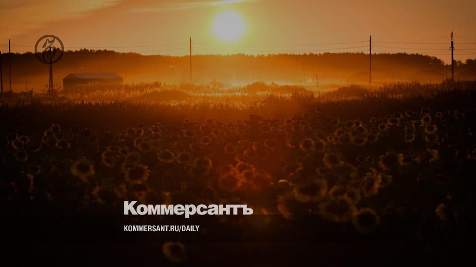 The earth went under the seeds - Kommersant