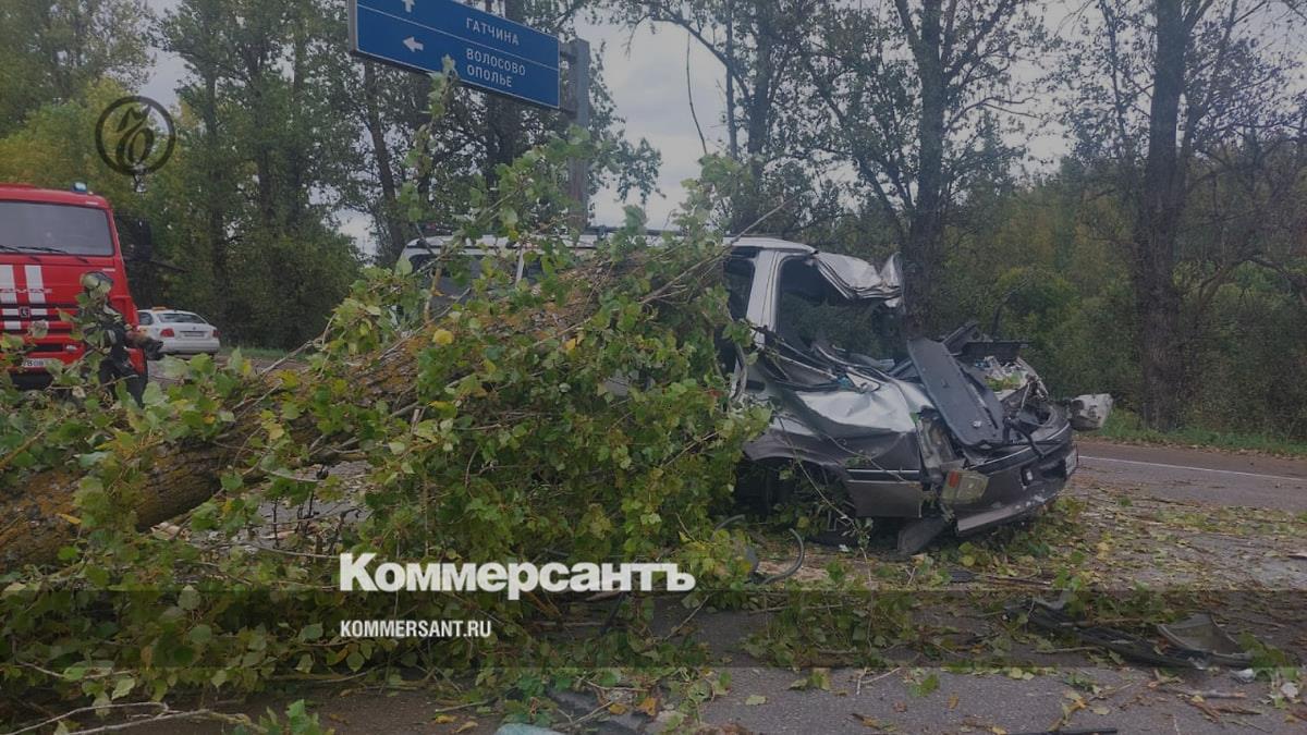 Под Гатчиной погиб водитель мини-фургона, на который упало дерево –  Коммерсантъ Санкт-Петербург