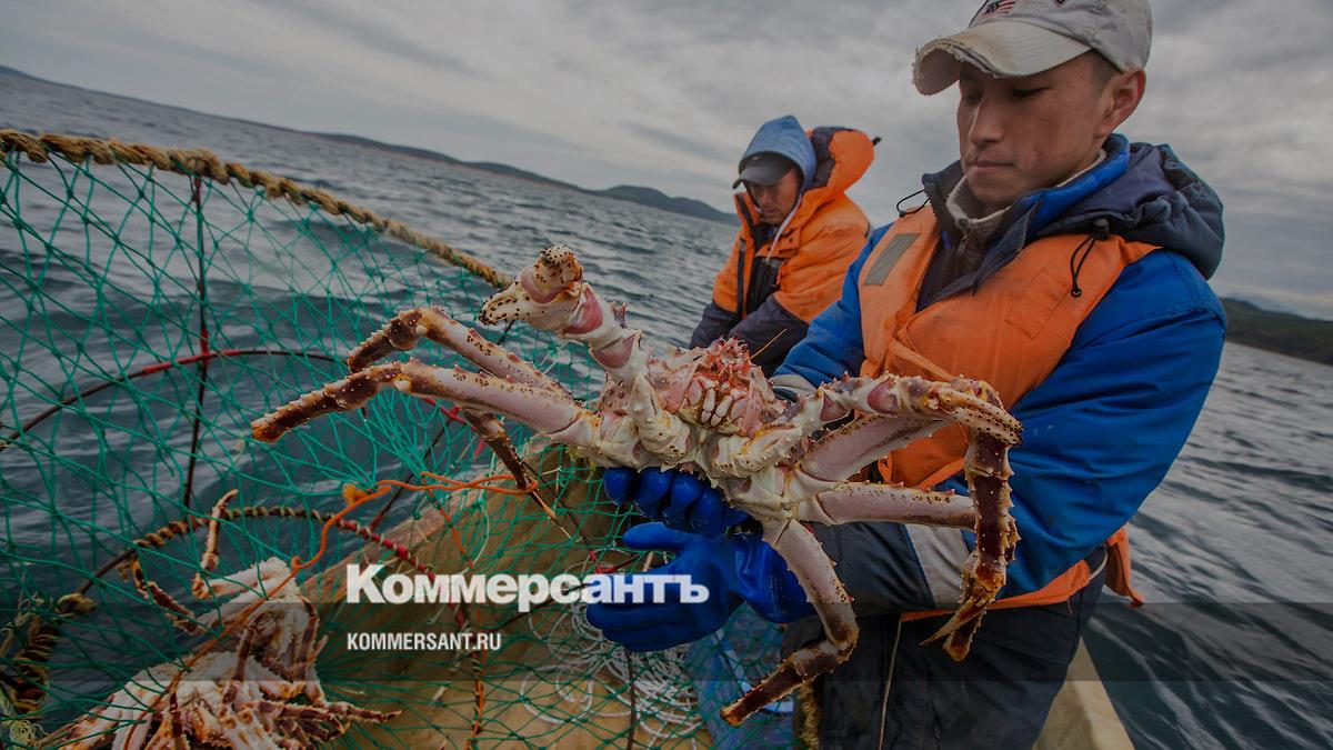 At the second stage of auctions, crab fishing rights worth RUB 214.27 billion were sold.