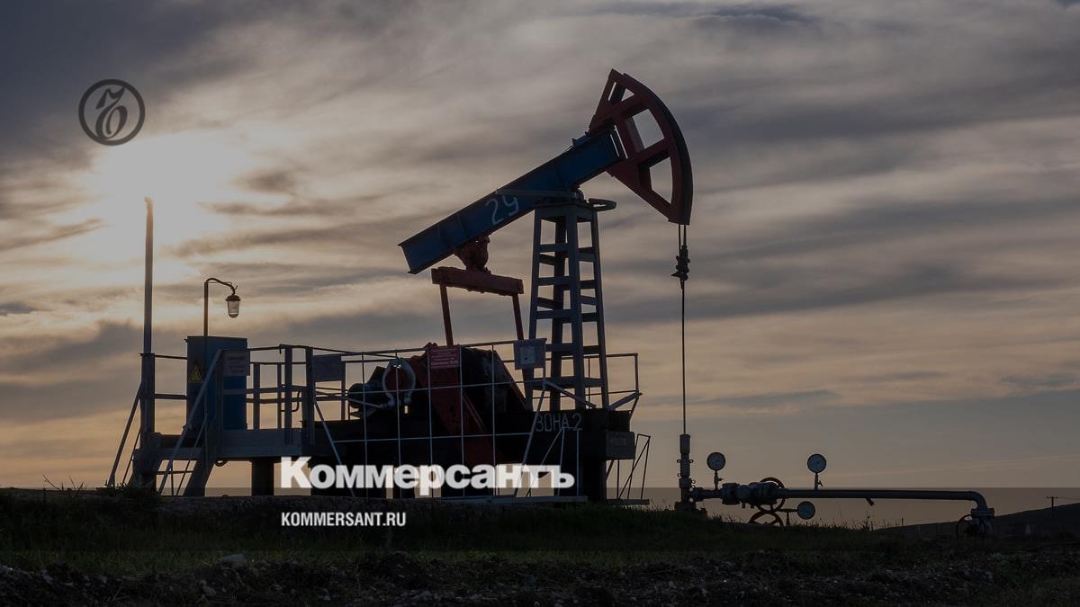 OPEC+ agreed to cut production by 1 million barrels per day - Kommersant