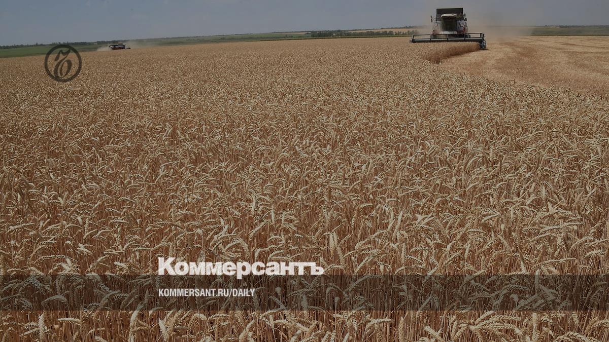 The owner of the Rif trading house, Petr Khodykin, invests in grain production