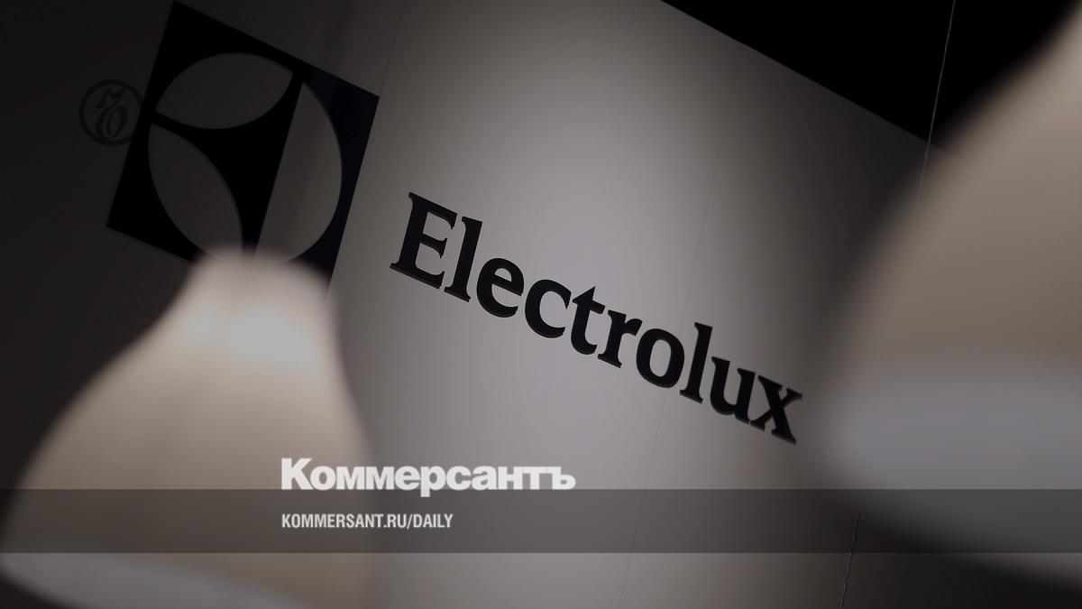 Manufacturers of household appliances Electrolux, Tefal, Braun and Rowenta began to block supplies to the Russian Federation through parallel imports