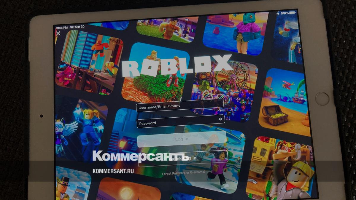 МВД рассказало о мошеннических схемах в игре Roblox