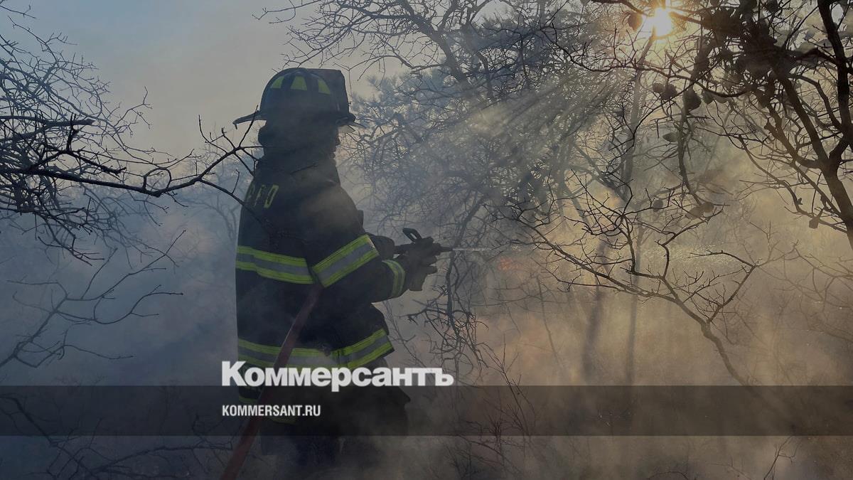 В Нью-Йорке введен режим ЧС из-за пожаров на Лонг-Айленде