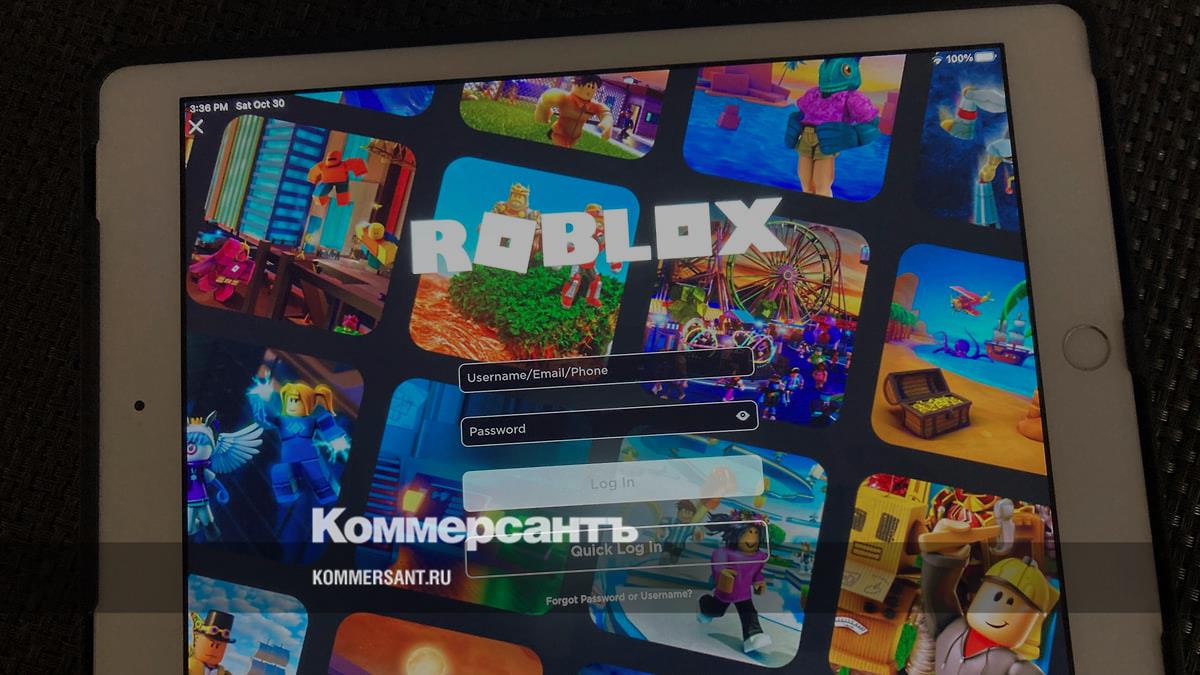 МВД: в Roblox совершено 40 преступлений за 2025 год