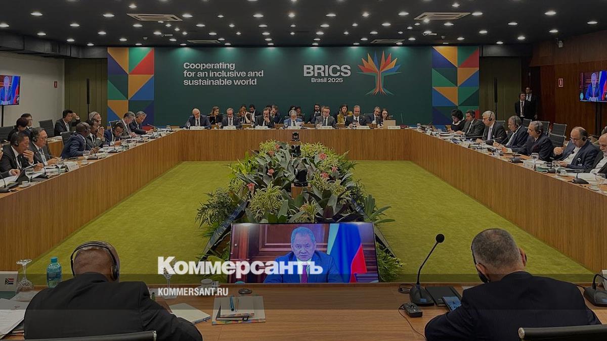 Шойгу объяснил, почему не смог лично прибыть в Бразилию на встречу БРИКС
