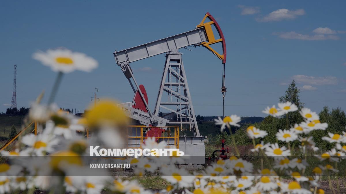 МЭА понизило прогноз роста спроса на нефть в 2025 году на 30 тыс. б/c – Коммерсантъ