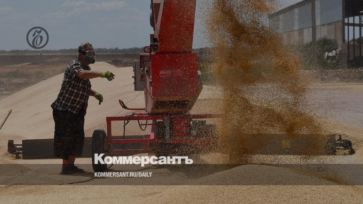 Минсельхоз усилит контроль за качеством зерна и данными во ФГИС Зерно