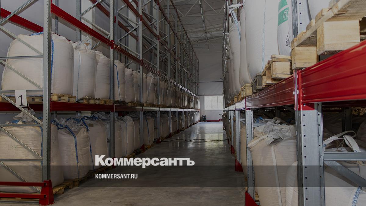 Прогноз урожая зерновых в Южном федеральном округе в 2026 году и проблема опустынивания земель