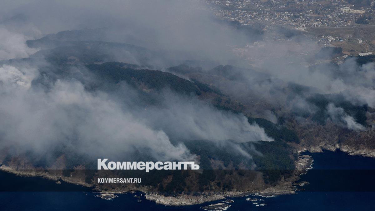 Более тысячи человек эвакуированы из-за лесных пожаров на северо-востоке Японии