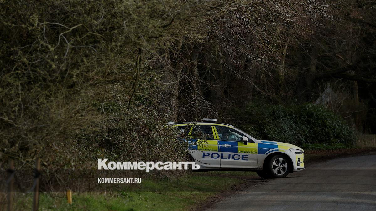 За нападение на младшего брата короля Карла III задержали вооруженного мужчину
