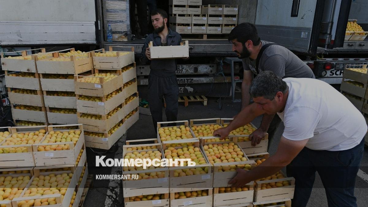 Россельхознадзор ограничит ввоз косточковых плодов и винограда из Армении