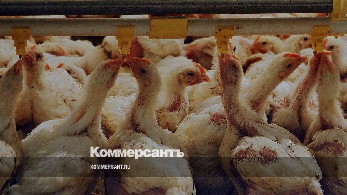 Арбитраж Белгородской области взыскал 50,8 млн руб. со структуры ГАП «Ресурс»