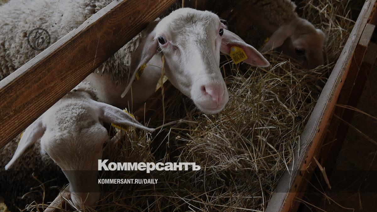 Разработчики вакцины для овец обжаловали приговор за хищение 210 млн рублей