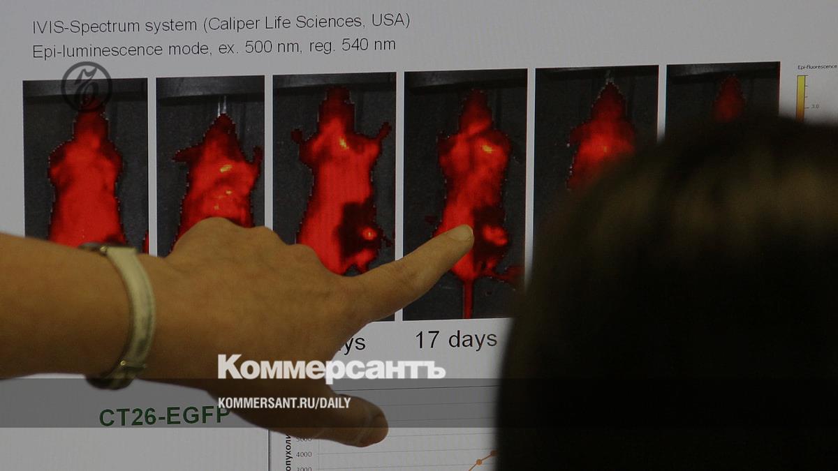 В Совфеде заявили о росте финансирования онкологической помощи на 60 млрд рублей в 2026 году