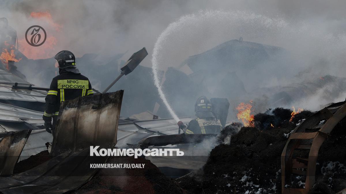 Украинские беспилотники атаковали Петербург и Ленобласть: погиб человек, повреждены Ozon и нефтяной терминал