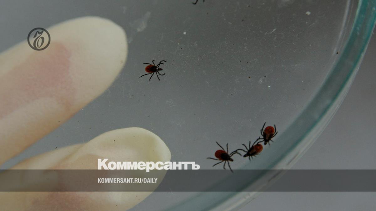 Жительница Екатеринбурга оспорила в Верховном суде отказ в бесплатной прививке от энцефалита