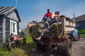 Четыре месяца в году на Малой Муксалме, в Соловецком архипелаге, сезонные рабочие — добытчики водорослей Белого моря заготавливают ламинарии, фукус, анфельцию, которые считаются уникальными и ценятся выше, чем  дальневосточные, настолько они богаты полезными веществами, йодом