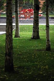 Цветы у Мемориала города Керчь в Александровском саду