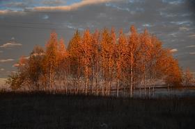 Осень в пушкинском Болдино, воистину - очей очарованье