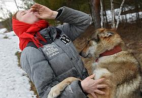 Единственный в России приют для волков 'Чертог Волка'