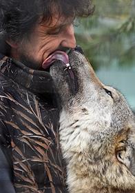 В единственном в России волчьем приюте спасают и выхаживают диких животных, пострадавших от людей. Здесь каждый человек может стать волку товарищем — его официальным опекуном