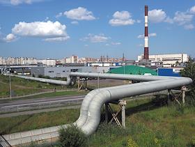 Сборник жанровых фотографий