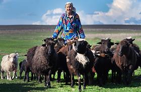 Жизнь в казахском ауле в Кинельском районе Самарской области