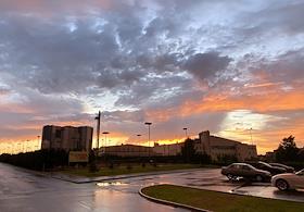 Жанровые фото
