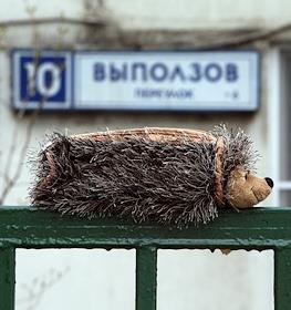 Выползов переулок, ул.Чугунные ворота,