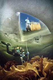 Дайвер погружается под лёд у скалы Белушья в Белом море