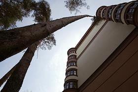 Проекты. Поселок 'Сосны'