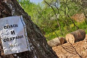 Северное Бутово. Частные дома