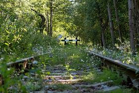 Форты города-порта Кронштадт