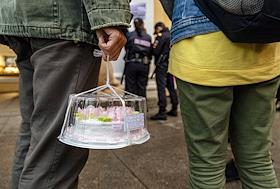 Пикеты против 'закона Мизулиной'